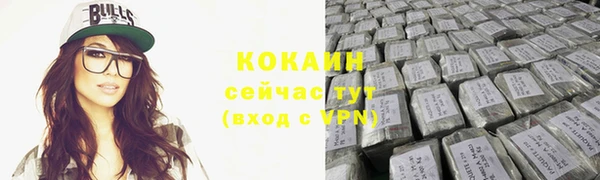 PSILOCYBIN Новозыбков