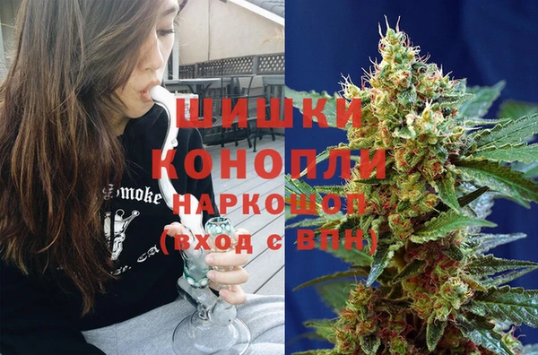 крисы Новокубанск