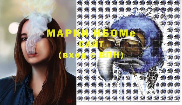 PSILOCYBIN Новозыбков
