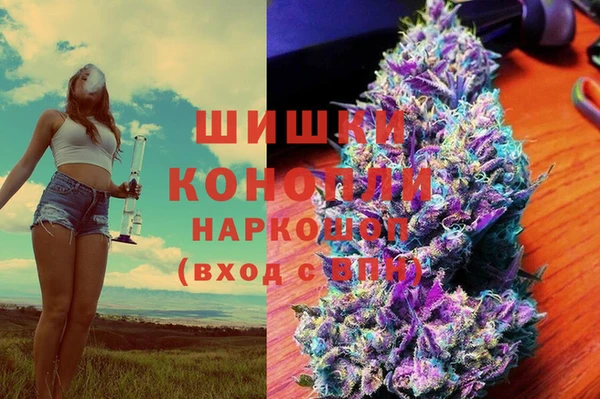 PSILOCYBIN Новозыбков