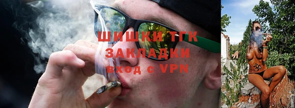 PSILOCYBIN Новозыбков