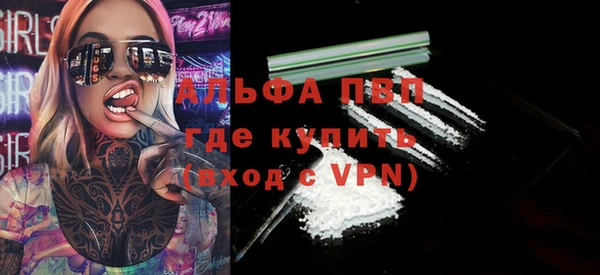 PSILOCYBIN Новозыбков