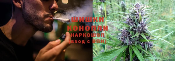 PSILOCYBIN Новозыбков