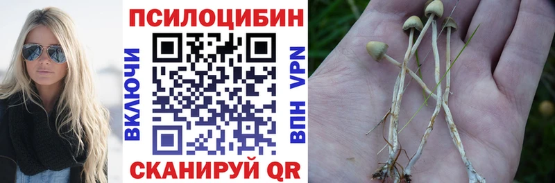 Галлюциногенные грибы Psilocybine cubensis  Купить закладки  Спасск 